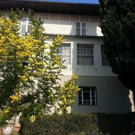 Vintage Magnolia 3* Pola