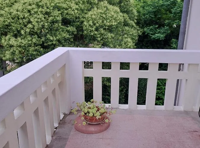 게스트하우스 Vintage Magnolia