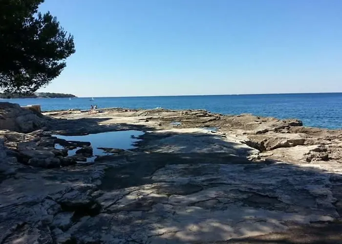 Vintage Magnolia 3* 풀라