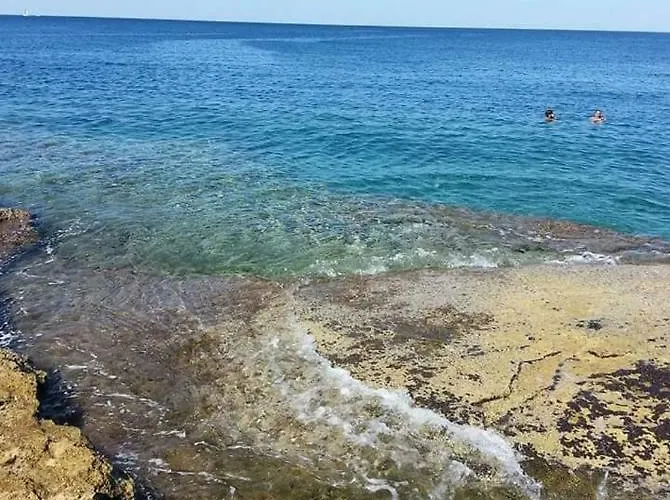 게스트하우스 Vintage Magnolia 3*