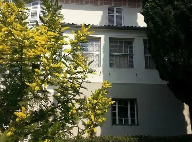 Vintage Magnolia 3* 풀라